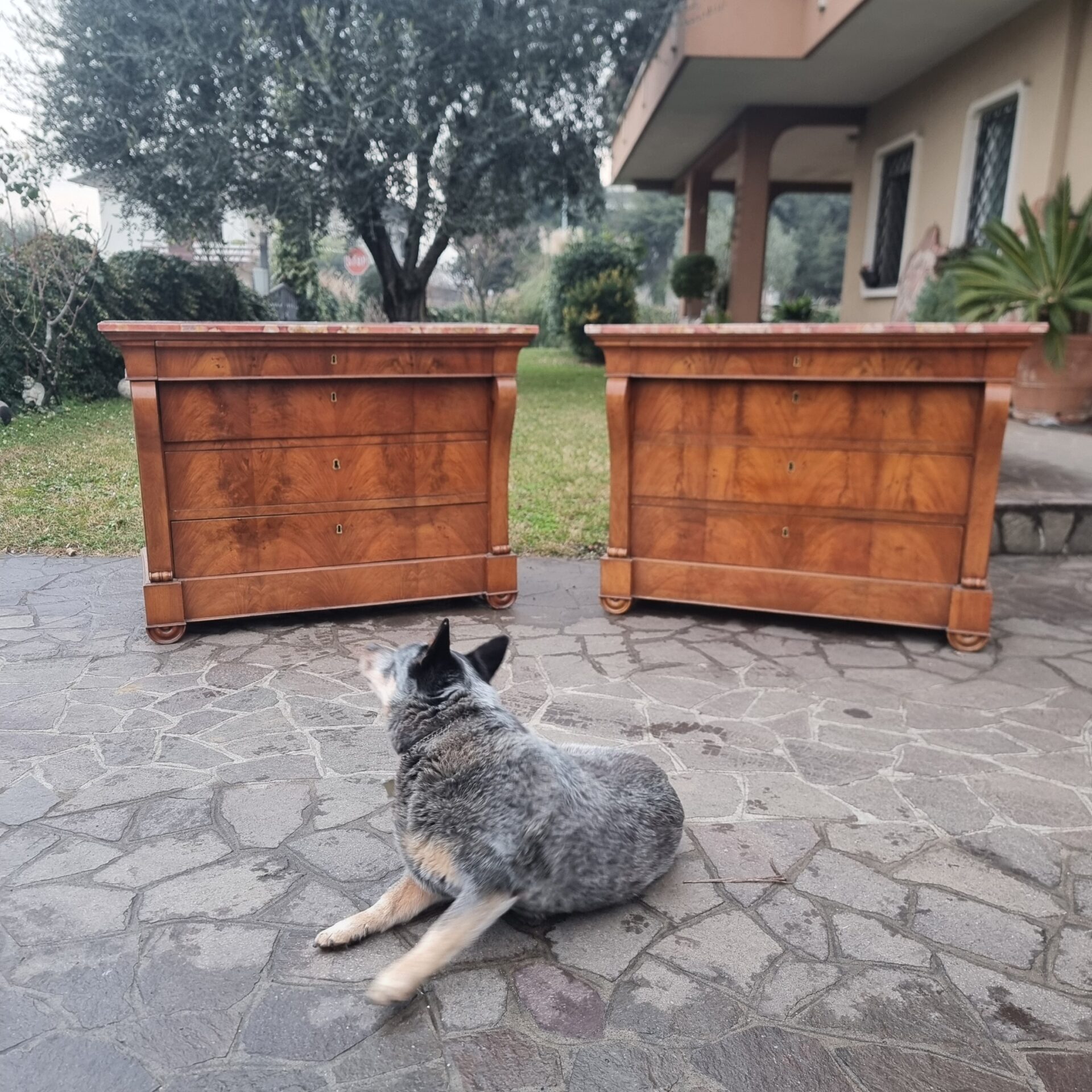 cassettoni primo impero